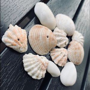 Meet your Posher, Cassidy